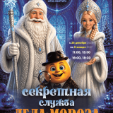 Special screening. New Year’s musical fairy tale 