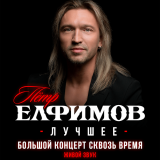 Concert by artist Petr Elfimov and the Elfimov musical group