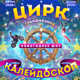 New Year's Circus Show 