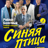 Concert by the vocal-instrumental ensemble 