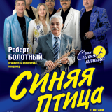 Concert by the vocal-instrumental ensemble 